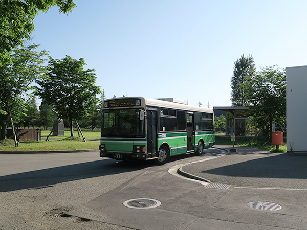 大学 国際 教養